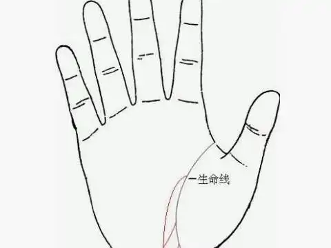 生命线图解生命线特征分析命运
