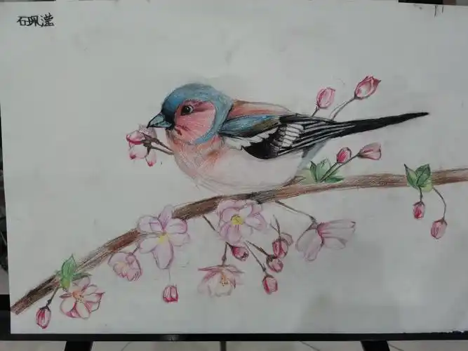 石佩滢-2020年暑假优秀绘画作品