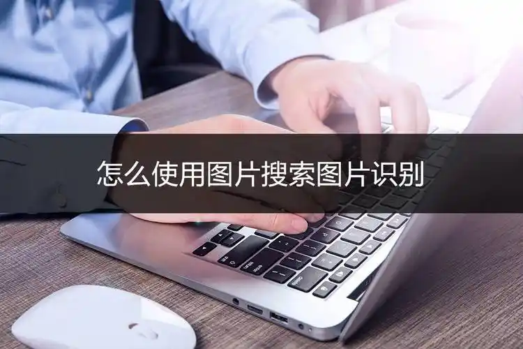 怎么使用图片搜索图片识别?分享一个好用的识物工具!_扫描_功能_内容