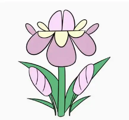 漂亮的小花简笔画画法步骤