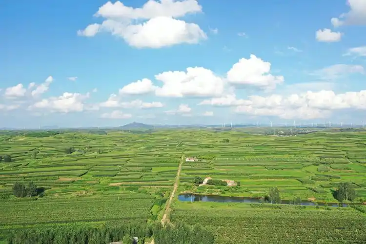 山东莱阳市胡留村碧水田园云茫茫