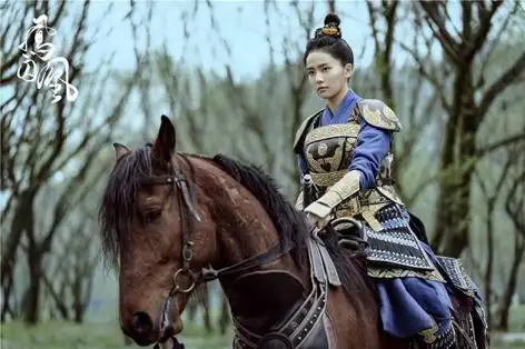 网评古装剧「最飒女将军」top 10!