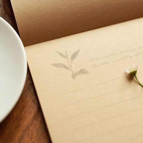 欧式简约 牛皮信封信纸套装 创意拍纸本文艺唯美浪漫告白情书48张