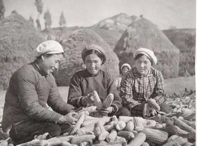 70年代记忆(19)-怀旧图片欣赏