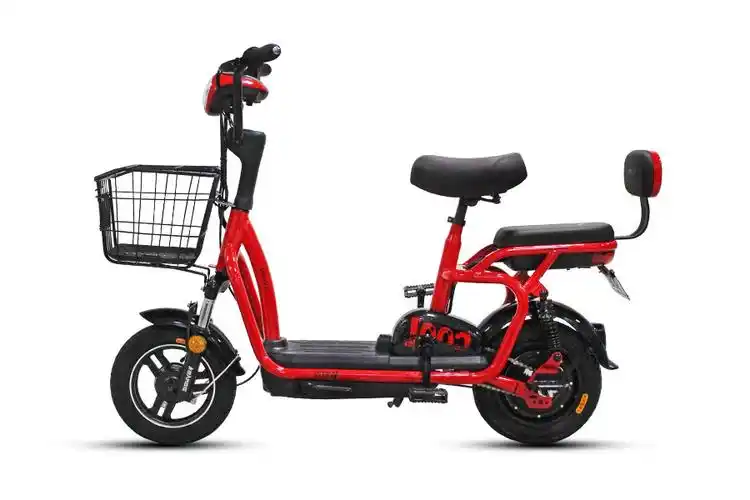 赛克电动车雅琪-1(锂电)图片