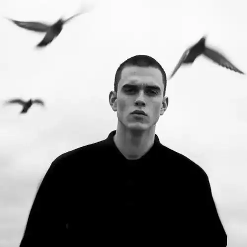 飞鸟伴酷男黑白头像