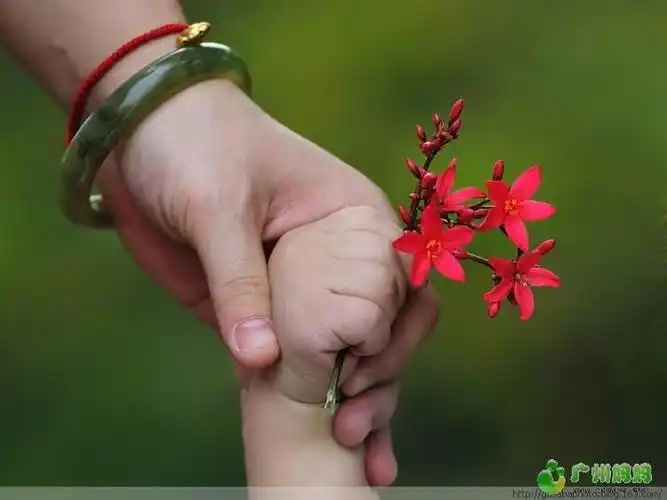 刚刚好是六一儿童节,二宝是个妞妞,现在儿女双全啦!