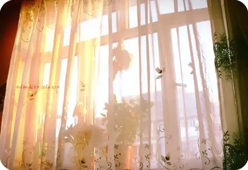 绿叶常青,四季花开 做童话里的主角 睡到自然醒, 让阳光透进房间, 心