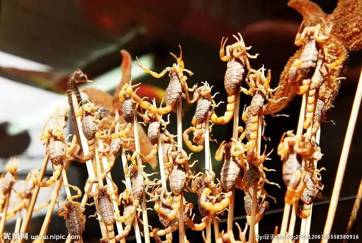 jpg颜色:rgb30共享分×关 键 词:蝎子 烧烤 王府井 小吃一条街  摄影