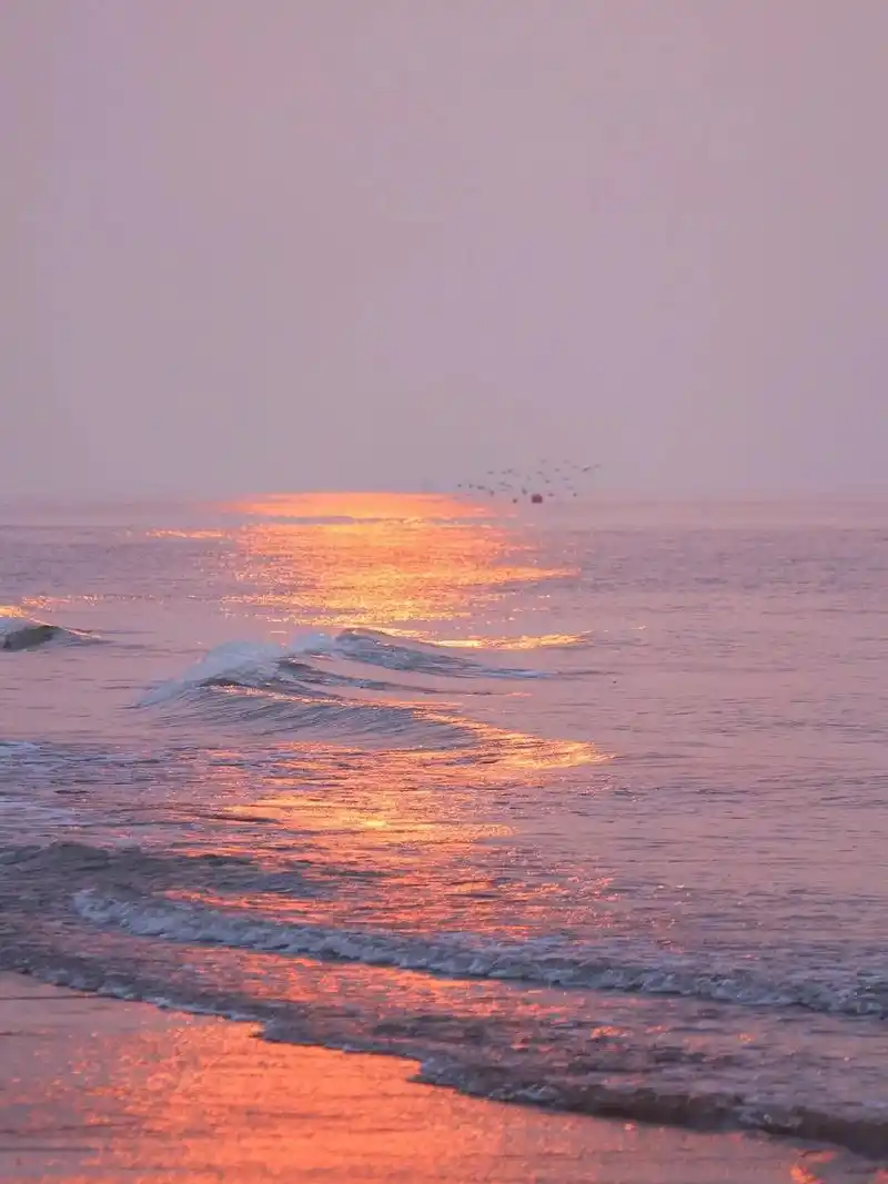 早上呼吸一口新鲜空气,品一品海上的日出.#抖音图文 - 抖音