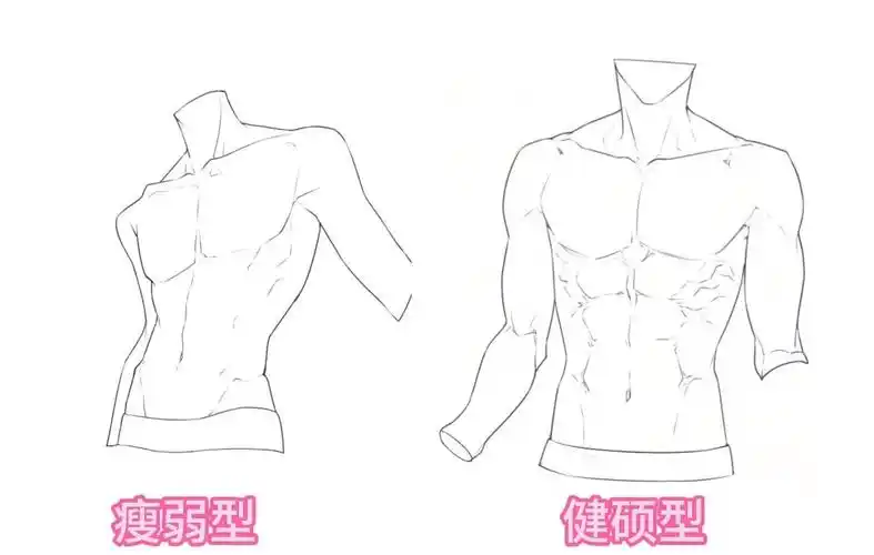 有手就会の腹肌教程