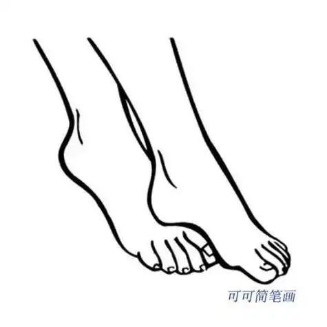 动物脚掌单个简笔画