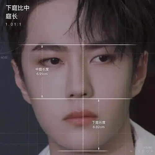 颜值分析王一博