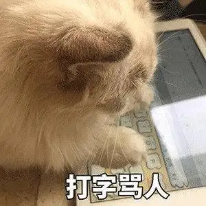 萌宠猫星人打字骂人生气呆萌可爱gif动图_动态图_表情包下载_soogif
