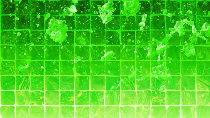 绿色保护视力,高清壁纸图片,色彩背景-回车桌面