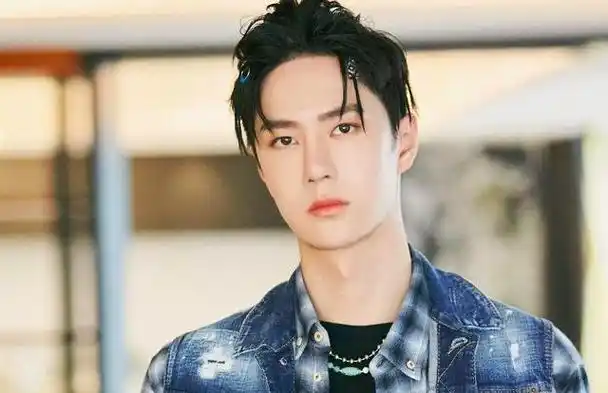 一举登上了一线明星的宝座,他的事业也是蒸蒸日上,从一个普通的小鲜肉