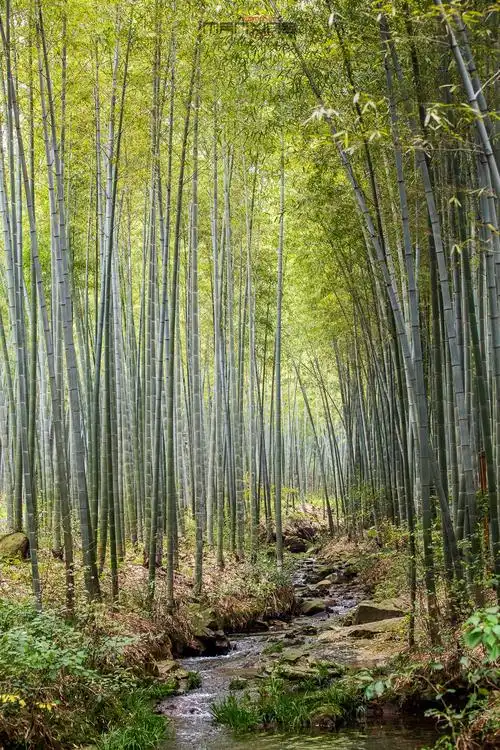【我是达人】源自"沸水塘"的天然御泉,将文化润与心田