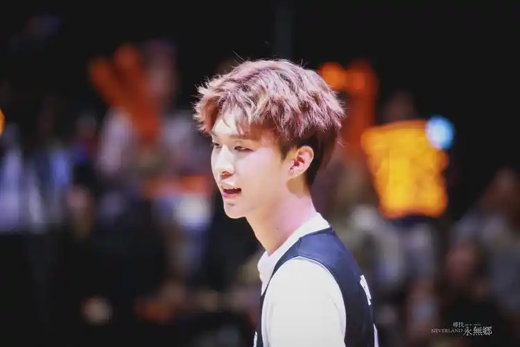 范丞丞/壁纸/ninepersent/侵权删