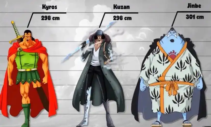 海贼王身高排名3