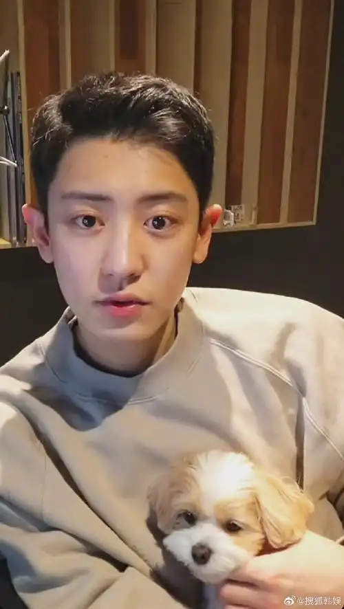 是状态超级好的素颜清爽帅哥!#朴灿烈直播状态#朴灿烈超话exo超话