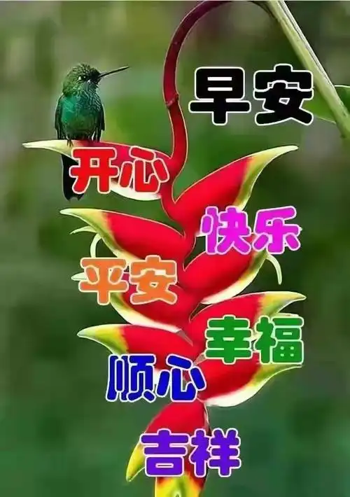 舞星赵书贵祝你及家人平安健康快乐幸福长寿!