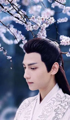 来提名你心中的古装大帅哥