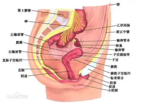 2022-05性生活技巧女性深浅和身高有关吗(为什么经历第一次后女生总