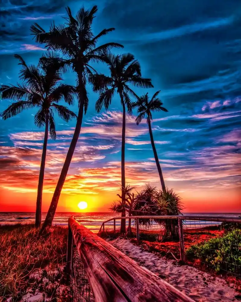 壁纸推荐海边落日