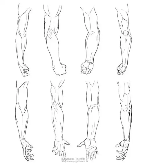 写生手臂人体体块手臂肌肉的练习