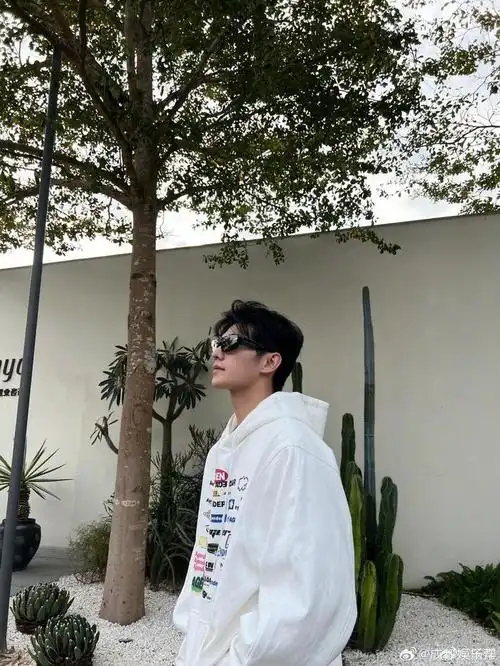 杨洋晒出了一组最新照片,墨镜,卫衣,男大crush上线,再线捞人|杨洋