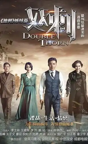 双刺剧情介绍