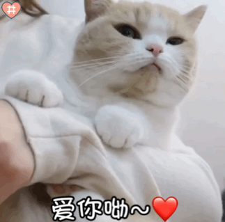 323_319gif 动态图 动图