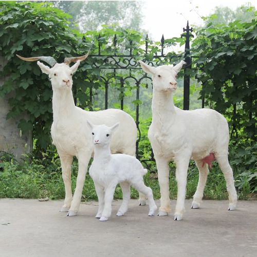 仿真动物大山羊模型真皮手工羊标本仿真羊产品公司展厅招财摆件