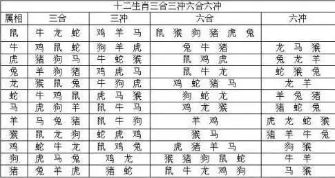 十二生肖狗和什么相冲,狗与羊属相婚配可以吗,鼠和狗相配婚姻如何