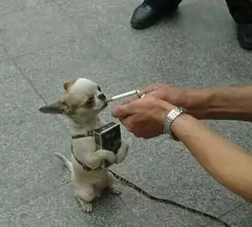 搞笑段子搞笑图片:美女,只需亲一口,立马送你到家门口_男友_老奶奶