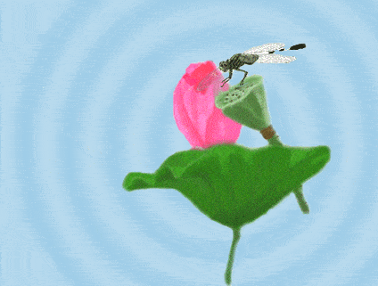 一只蜻蜓轻点水, 夏风柳荫曳鸣蝉.