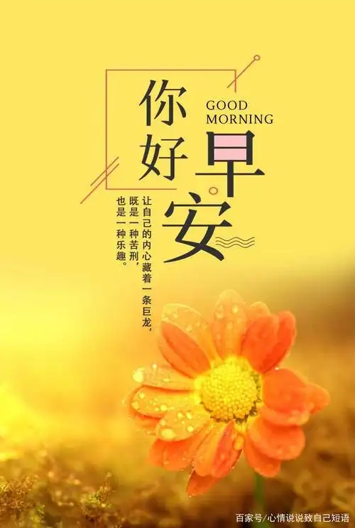 漂亮的早安图片,励志早安心语朋友圈短句,句句箴言!
