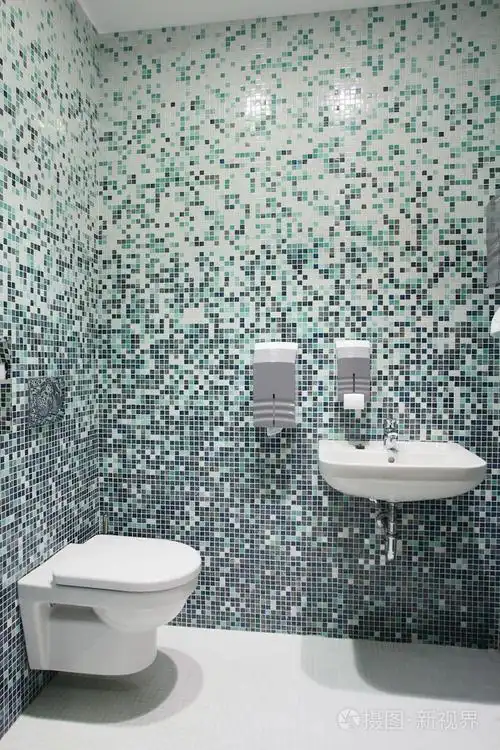 明亮, 干净欧洲厕所