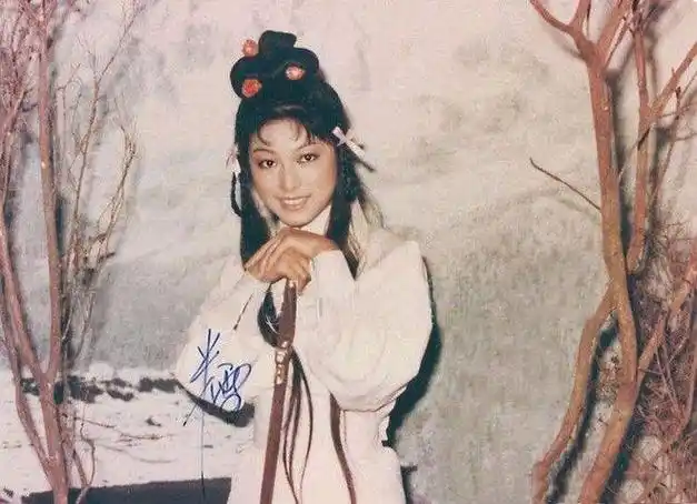 76版本的《神雕侠侣》,从少女时代的黄蓉到中年时代的黄蓉,都是由米雪