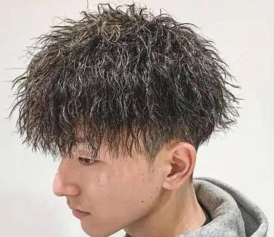 男生烫头发型种类有几种(男生烫头有哪些发型)