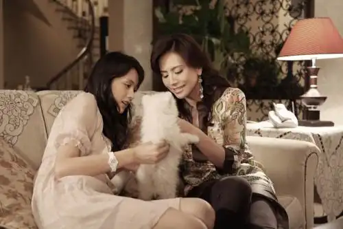 姐妹新娘资料页_娱乐资料库_新浪娱乐_新浪网