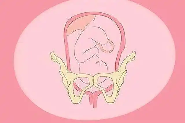 身体出现这4个变化,是宝宝入盆的信号,妈妈们别再苦等预产期了