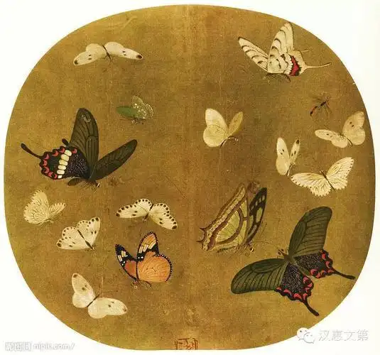 蝴蝶工笔画 蝴蝶工笔画图片