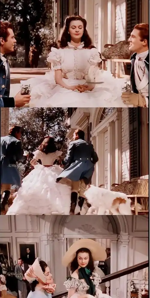 影片将背景设定在美国南北战争和重建的背景下,生动讲述了斯嘉丽