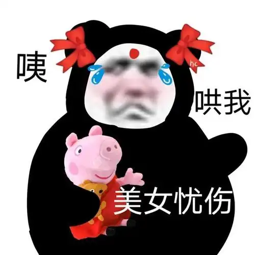 今日份熊猫头表情包你是来搞笑的吗