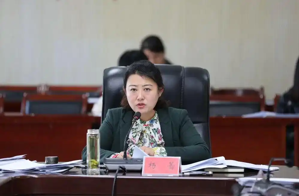 县长杨蕾主持召开县政府2020年第五次常务会议