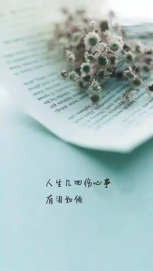 睡前一句话暖心话-送爱人的一句话暖心话