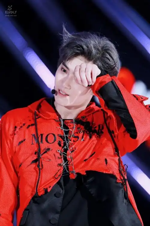 水源韩流演唱会 金俊绵 suho