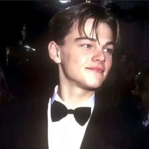 小李子过分帅气