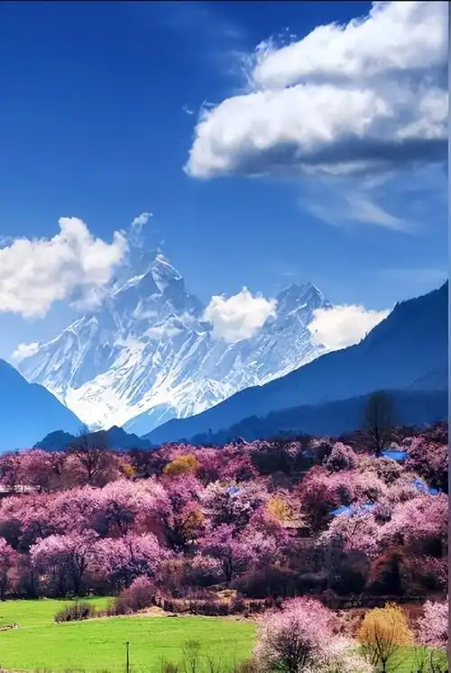 中国最美的30个风景去过10个不简单去过20个就太幸福了